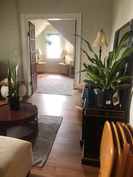 Little Falls Redefined Alchemy - Bright, Eclectic, Pretty Apt 3E מראה חיצוני תמונה